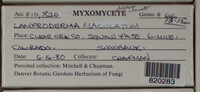 Image Associated With the Occurence